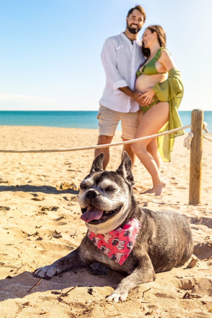 Book Embarazada 50-00